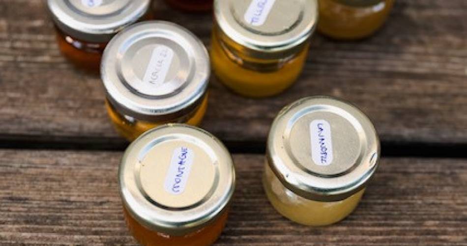 Apinae Apiculture@© Apinae