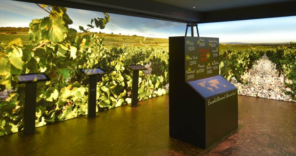 The course Exceptional at the Wine Museum Maison Brotte@©maisonbrotte