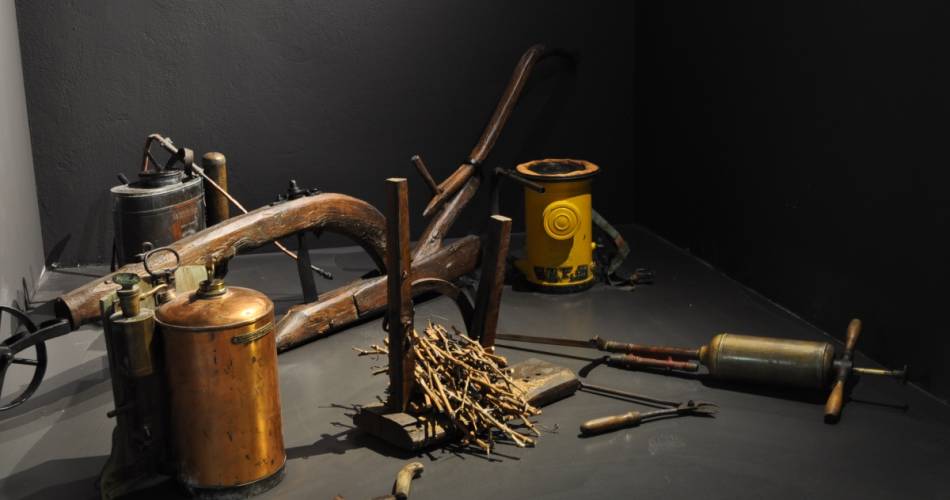 Le Discovery Route at the Wine Museum Maison Brotte@©maisonbrotte