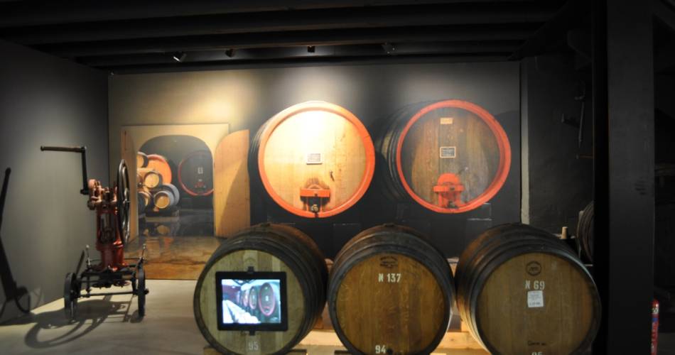 Le Discovery Route at the Wine Museum Maison Brotte@©maisonbrotte