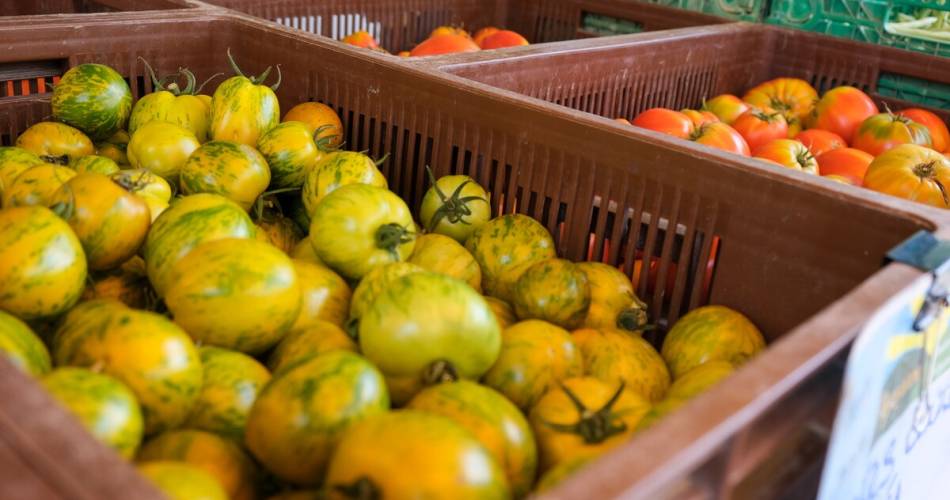Montfavet farmers' market@©Olivier Tresson / Avignon Tourisme