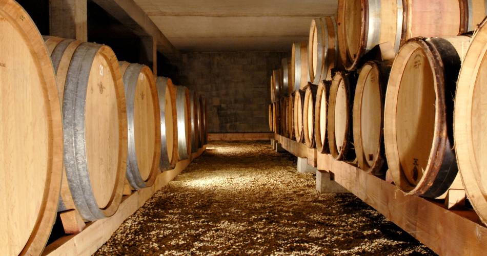 Winery tour and guided tasting - Domaine la Monardière@Domaine La Monardière