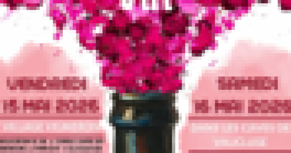 Vine and Wine Festival@Fête de la Vigne et du Vin