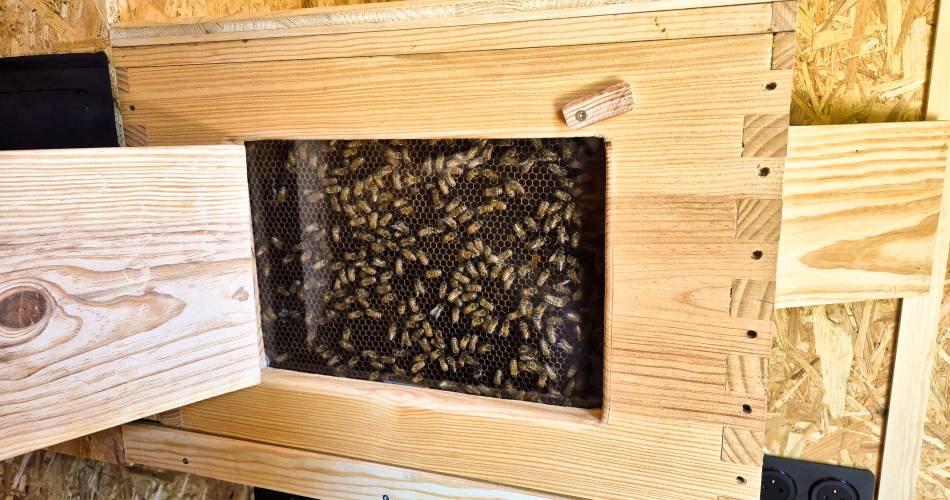 Tinyhouse&abeilles : séjour insolite en Provence@© Happy-Culture