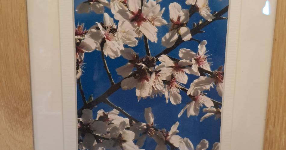 Exposition : peintres amateurs, regards singuliers@Artistes Amateurs Pernois