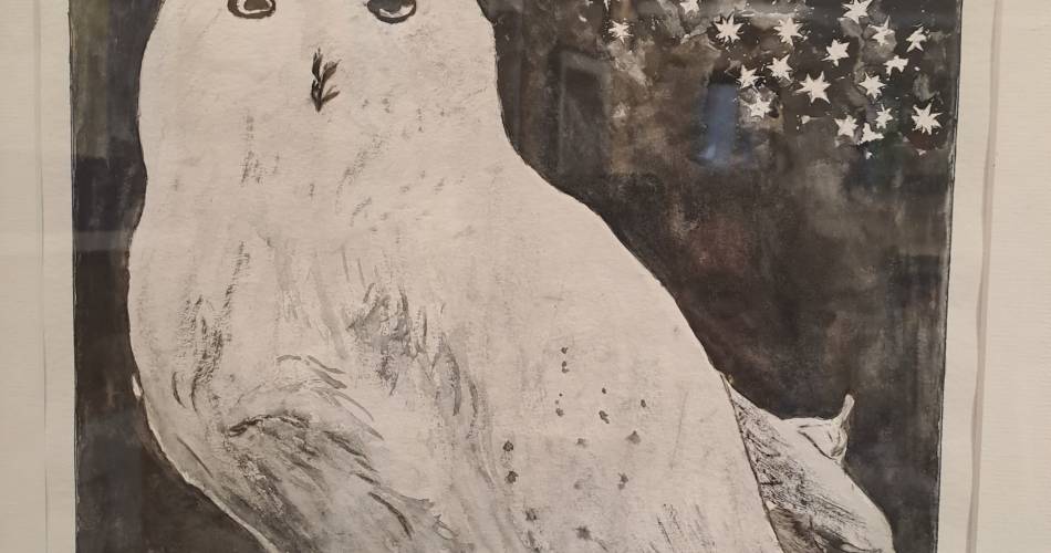 Exposition : peintres amateurs, regards singuliers@Artistes Amateurs Pernois