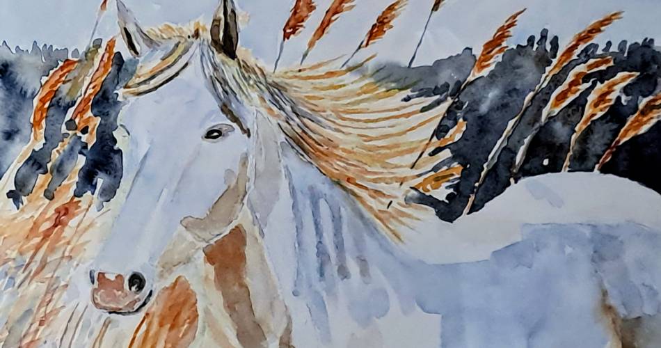 Exposition : peintres amateurs, regards singuliers@Artistes Amateurs Pernois