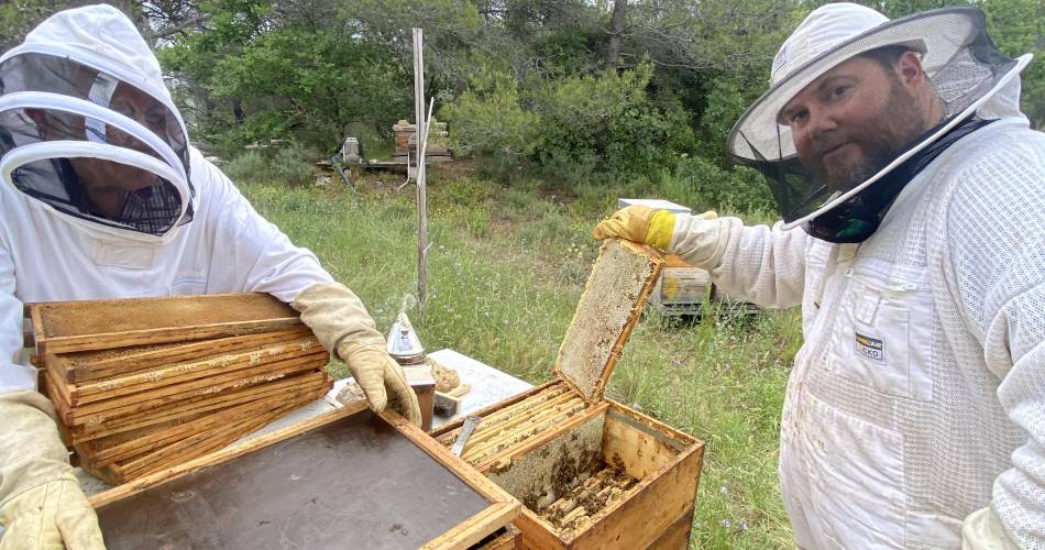 Découverte immersive du monde des abeilles@Le Rucher des Dent'ailes