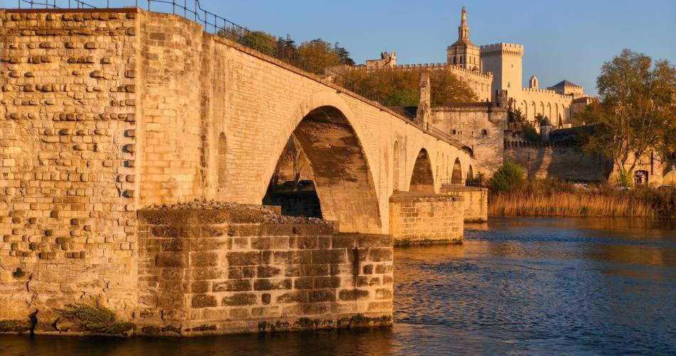 A la découverte du Palais des Papes et du Pont Saint-Bénezet@©Olivier Tresson / Avignon Tourisme