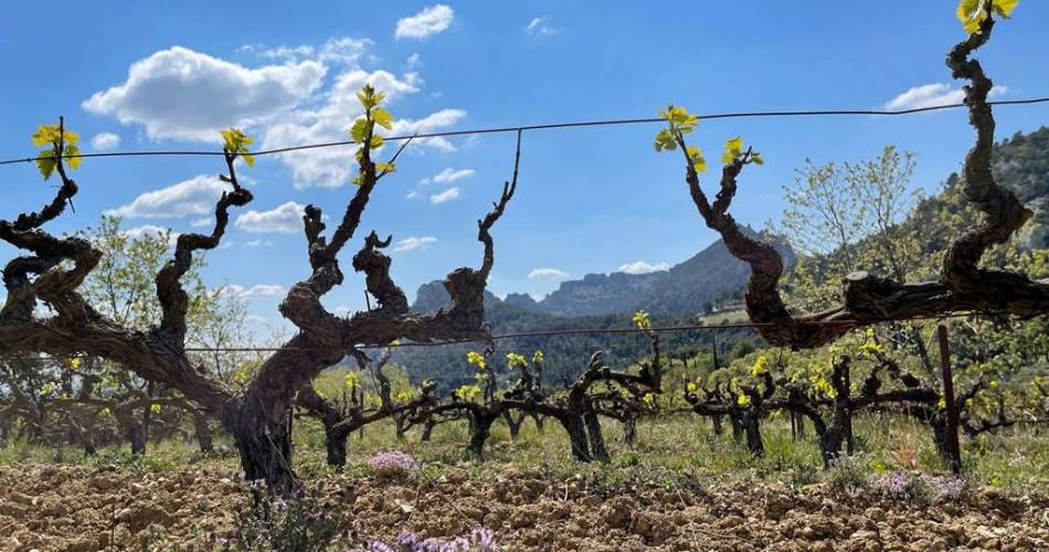 A gourmet stroll at Domaine des Garances@Domaine des Garances