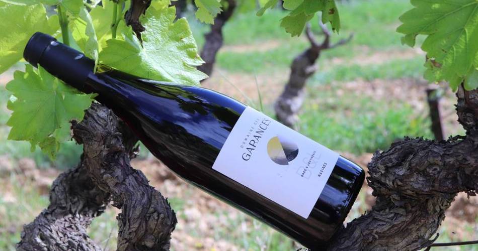 A gourmet stroll at Domaine des Garances@Domaine des Garances