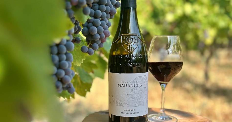 Wine tasting workshop at Domaine des Garances@Domaine des Garances