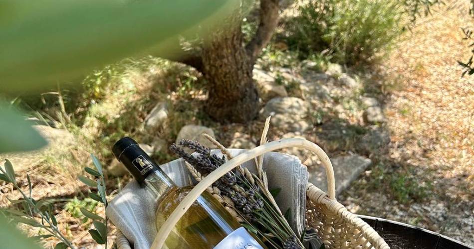 Wine tasting workshop at Domaine des Garances@Domaine des Garances