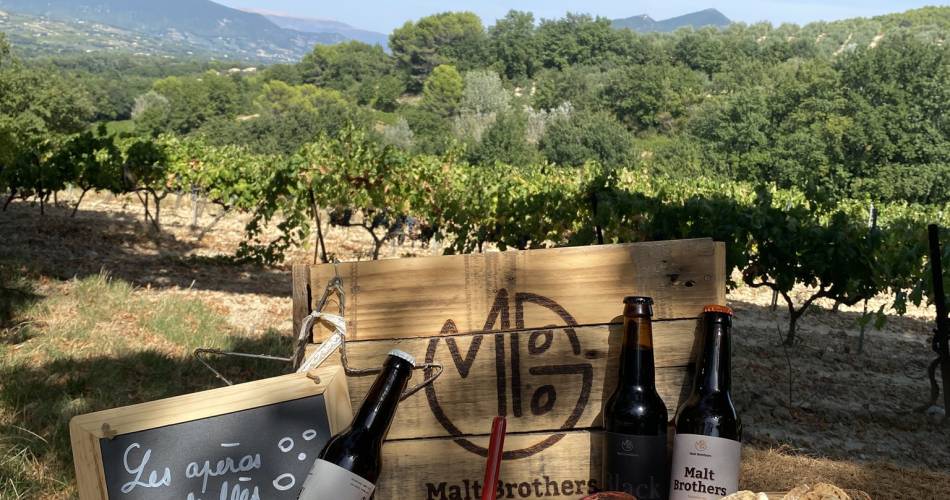 Les soirées sous les étoiles avec Youpi Tours@Youpi Tours