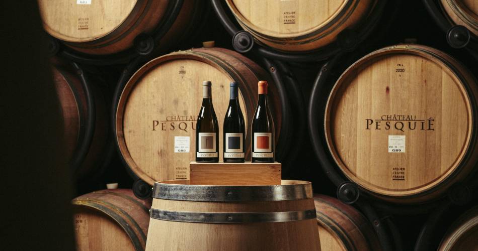 Visite spéciale vendanges@ChâteauPesquié