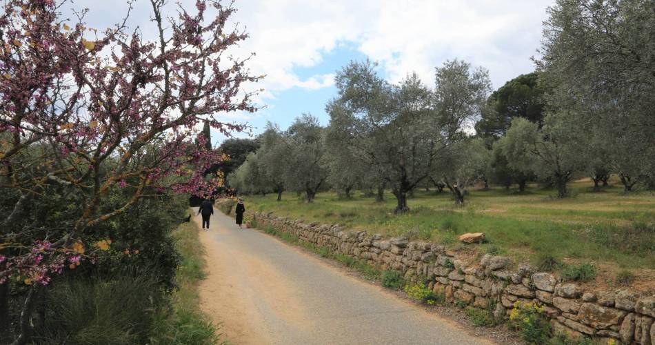 LOURMARIN - Tour du Collet de Pierrouret@©Alain Hocquel - VPA