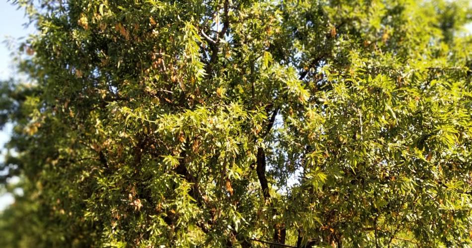 Balade vélo électrique & dégustation produits@Nougats Silvain