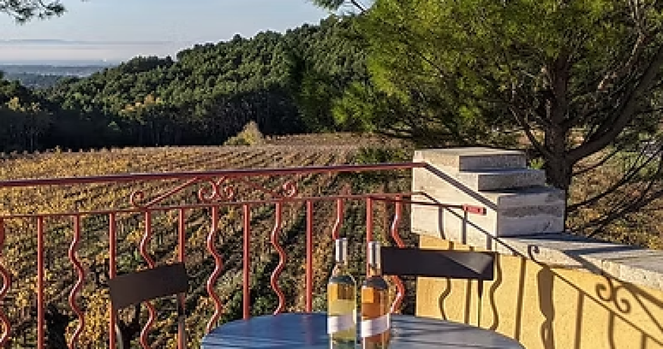 Outdoor picnic at Clos de Caveau@Clos de Caveau