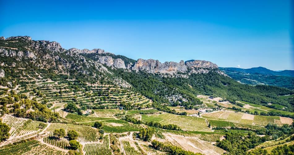 A Nature & Gourmet Getaway at Domaine de Coyeux@Morgan Palun