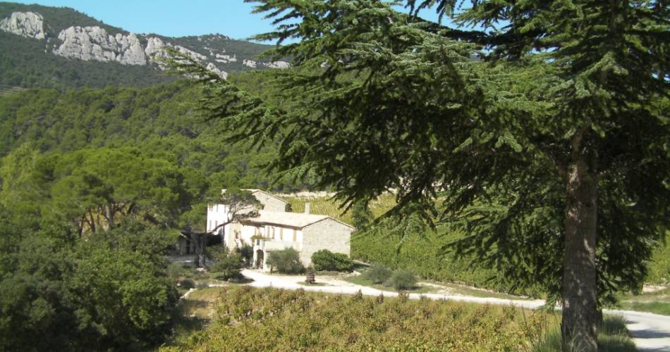 Sentier vigneron au Domaine de Cassan@Domaine de Cassan - Lafare