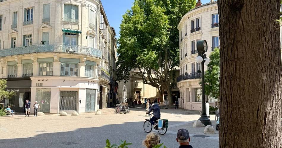 Balade commentée de la place Carnot à la place des Carmes@©Eva Nove-Josserand / Avignon Tourisme
