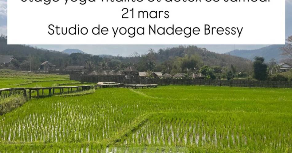 Workshop Yoga Vitalität und Entgiftung - Nadège Bressy@Nadège Bressy