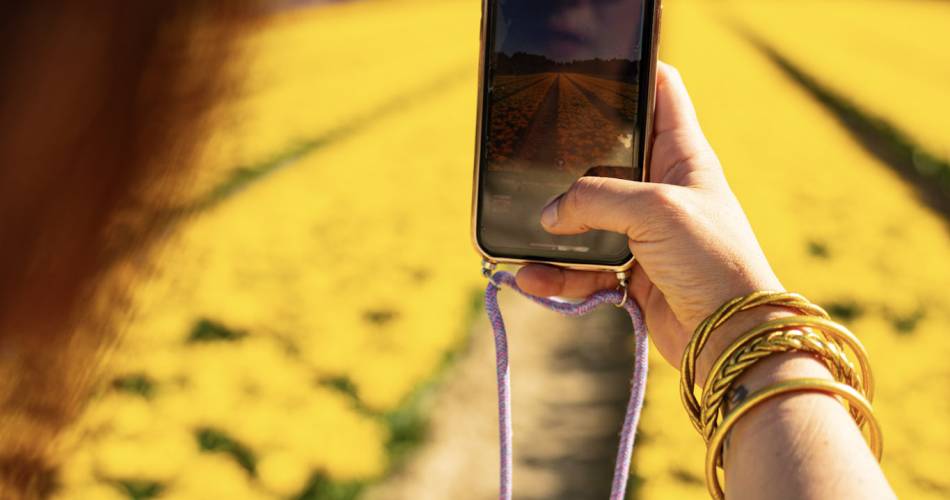 Die Tulpenfelder@b.delhomme