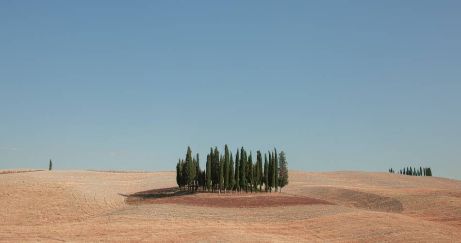 Exposition «Metamorphosis»@Alessandro Calvi