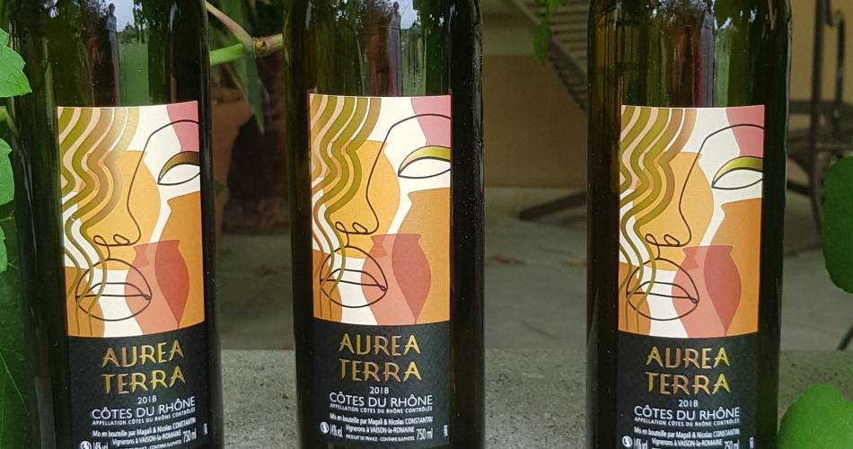 Gourmet vineyard tour - Domaine Terre de Gaulhem@Terre de Gaulhem