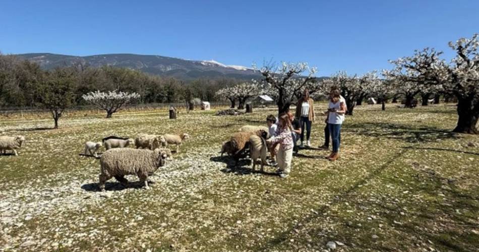 Atelier Petit Fermier@ici.fr - lagrandterre