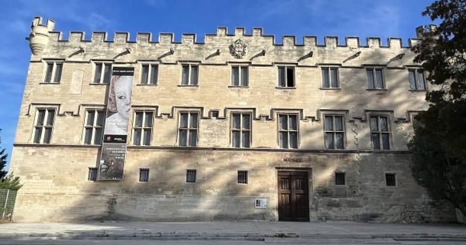 All about Avignon@©Les Noctambules d'Avignon