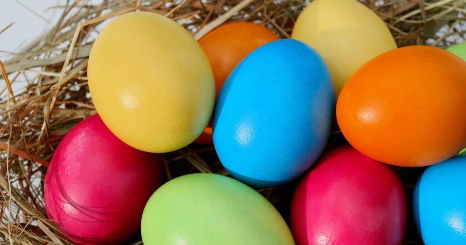 Giant egg hunt@©Pixabay