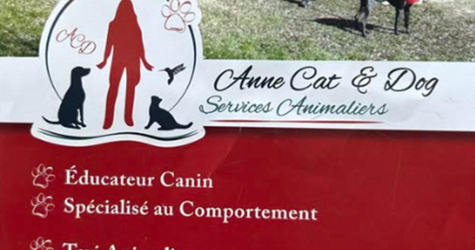 Anne Cat & Dog@Anne Catherine Waldner