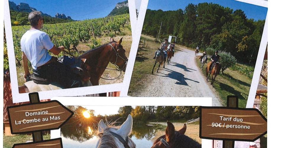 Balade vigneronne avec le Poney Rouge@©Le Poney Rouge
