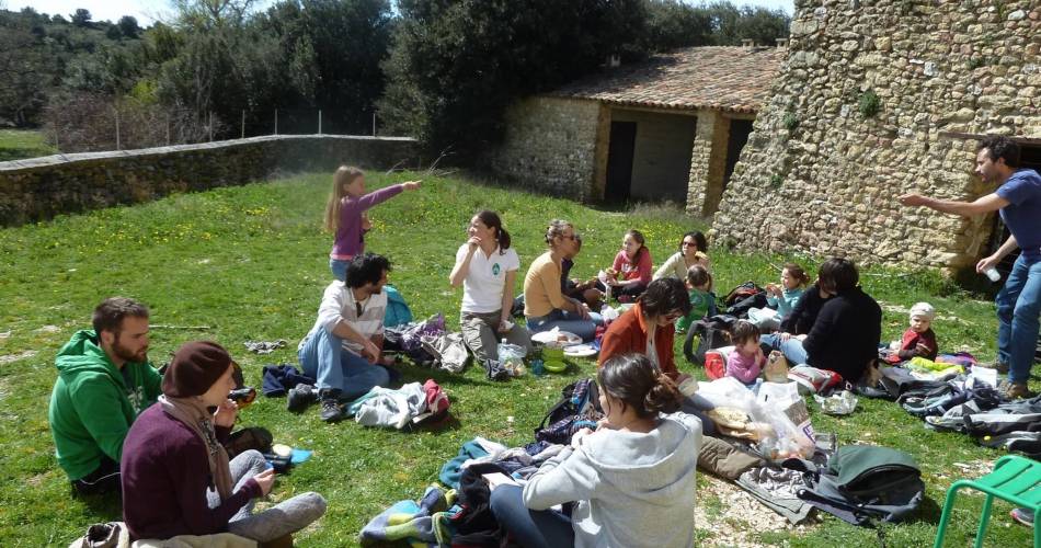 CHEVAL-BLANC - Crau des Mayorques@©PNRL