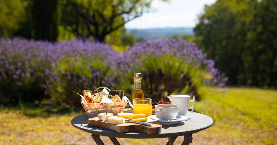Ouverture le 5 juin 2026 . L'Oasis du Luberon - Bar à vin-@Ouverture le 5 juin 2026 . L'Oasis du Luberon - Bar à vin-_Villelaure
