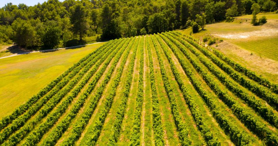Ouverture le 5 juin 2026 . L'Oasis du Luberon - Bar à vin-@Ouverture le 5 juin 2026 . L'Oasis du Luberon - Bar à vin-_Villelaure