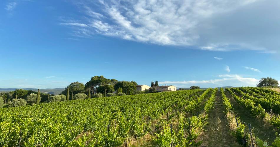 The backstage of Perréal wine estate@Domaine Perréal
