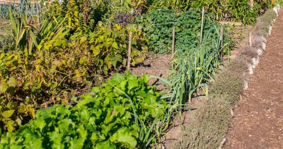 Les rendez-vous du Parc 2026 - Druppelirrigatie in de tuin@Les rendez-vous du Parc 2026