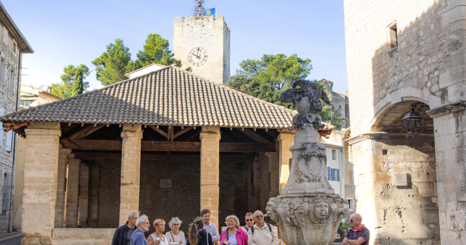 Visite Guidée - Découverte du centre historique@PDV
