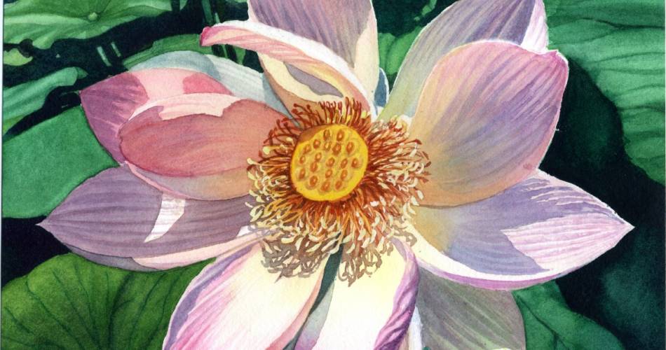 Massage Yoga Ayurveda en Luberon@Oriane Brun