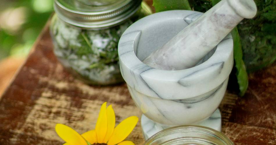 Massage Yoga Ayurveda en Luberon@Oriane Brun
