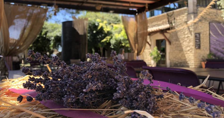 Peace, Love and Lavender au Musée de la Lavande@Musée de la Lavande Luberon