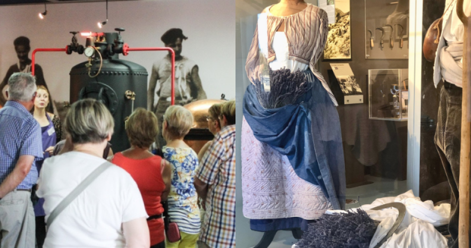 Jour de fête de la récolte et de la distillation au Musée de la Lavande@Musée de la Lavande Luberon