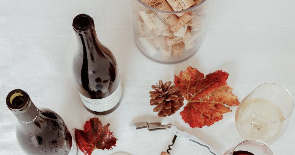 Home tasting formula@Clara Knipping