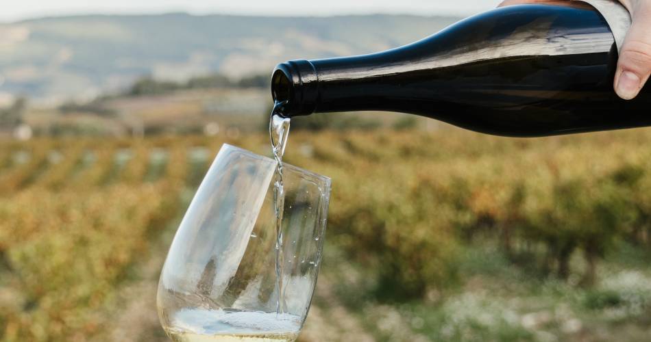 Home tasting formula@Clara Knipping