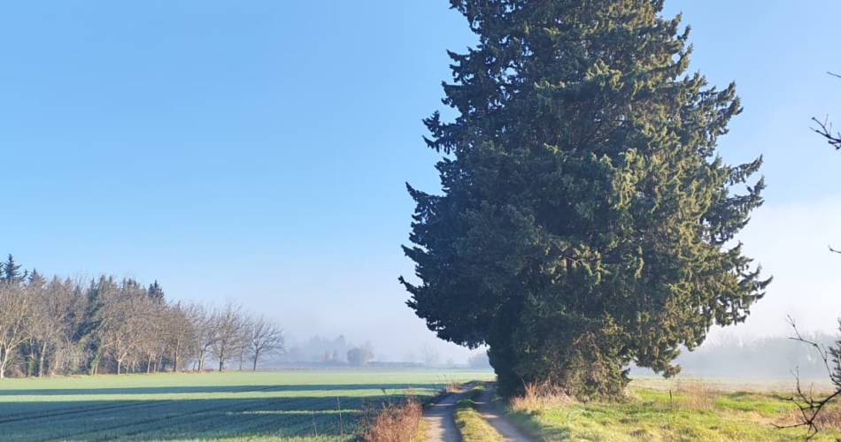 Boucle gravel N° 42-Entre Durance et Sorgue@@ProvenceExplore