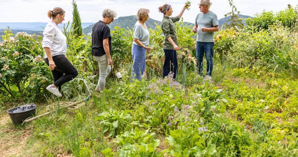 Atelier cuisine provençale  "Sur les pas de l'écrivain Jean Giono"  avec la cheffe Héloïse Giraud@Flore Giraud