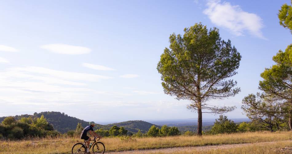 Idée séjour - Esprit triathlon aux portes du Ventoux@PDV