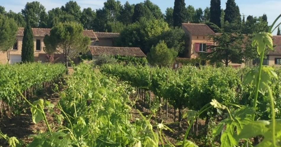 Idée séjour - Esprit triathlon aux portes du Ventoux@Auberge de la Camarette